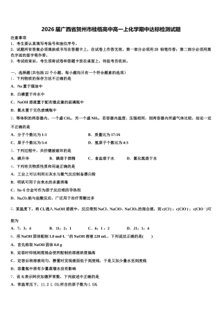 2026届广西省贺州市桂梧高中高一上化学期中达标检测试题含解析