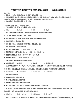 广西南宁市兴宁区南宁三中2025-2026学年高一上化学期中调研试题含解析