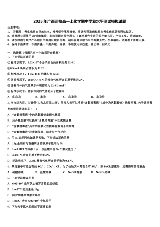2025年广西两校高一上化学期中学业水平测试模拟试题含解析