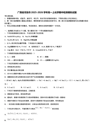 广西省河池市2025-2026学年高一上化学期中检测模拟试题含解析
