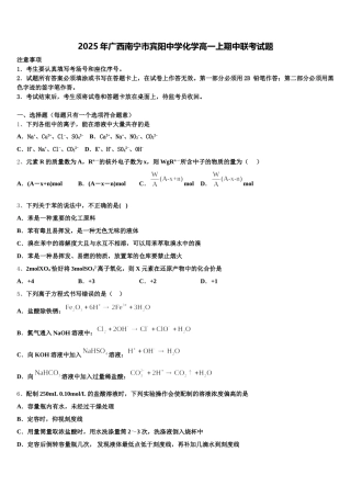 2025年广西南宁市宾阳中学化学高一上期中联考试题含解析