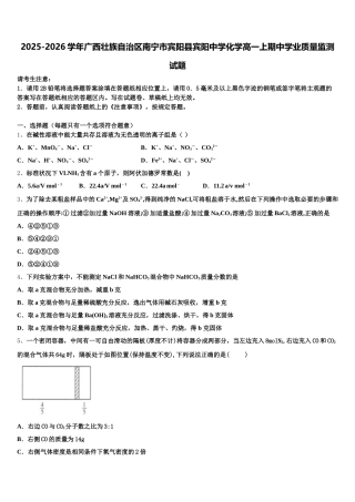 2025-2026学年广西壮族自治区南宁市宾阳县宾阳中学化学高一上期中学业质量监测试题含解析