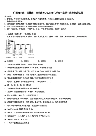 广西南宁市、玉林市、贵港市等2025年化学高一上期中综合测试试题含解析