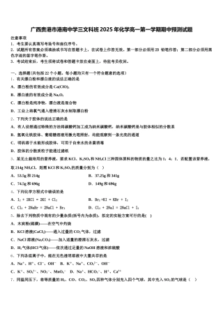 广西贵港市港南中学三文科班2025年化学高一第一学期期中预测试题含解析