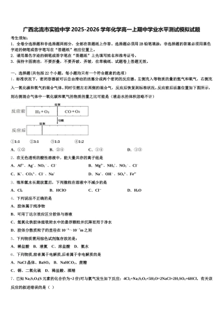 广西北流市实验中学2025-2026学年化学高一上期中学业水平测试模拟试题含解析