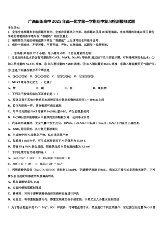 广西田阳高中2025年高一化学第一学期期中复习检测模拟试题含解析