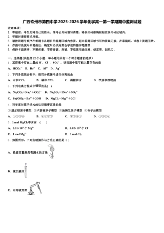 广西钦州市第四中学2025-2026学年化学高一第一学期期中监测试题含解析