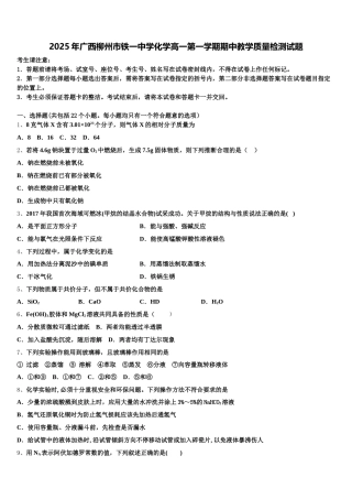 2025年广西柳州市铁一中学化学高一第一学期期中教学质量检测试题含解析