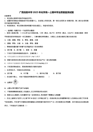 广西龙胜中学2025年化学高一上期中学业质量监测试题含解析