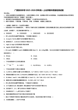 广西贺州中学2025-2026学年高一上化学期中质量检测试题含解析