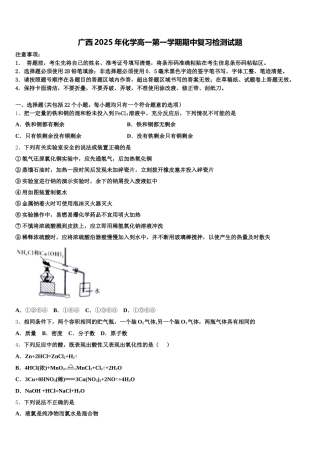 广西2025年化学高一第一学期期中复习检测试题含解析