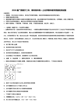 2026届广西南宁二中、柳州高中高一上化学期中教学质量检测试题含解析
