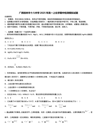 广西桂林市十八中学2025年高一上化学期中检测模拟试题含解析