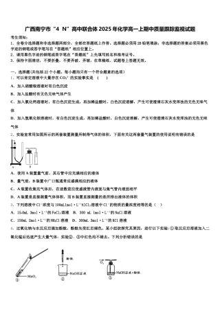 广西南宁市“4  N”高中联合体2025年化学高一上期中质量跟踪监视试题含解析