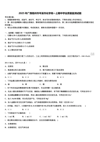 2025年广西梧州市岑溪市化学高一上期中学业质量监测试题含解析