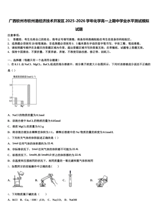 广西钦州市钦州港经济技术开发区2025-2026学年化学高一上期中学业水平测试模拟试题含解析