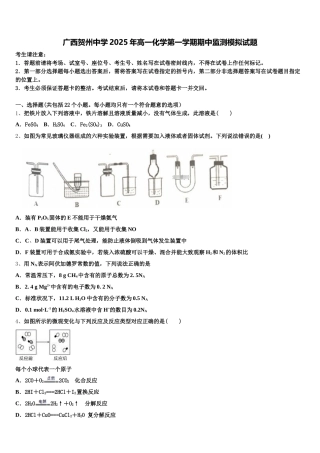 广西贺州中学2025年高一化学第一学期期中监测模拟试题含解析