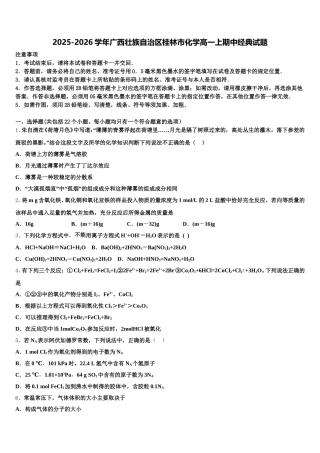 2025-2026学年广西壮族自治区桂林市化学高一上期中经典试题含解析