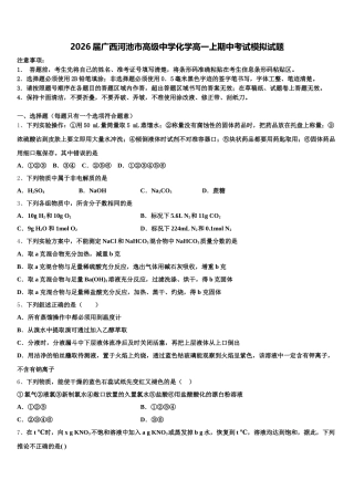2026届广西河池市高级中学化学高一上期中考试模拟试题含解析