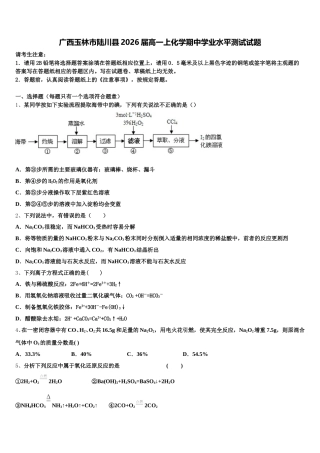广西玉林市陆川县2026届高一上化学期中学业水平测试试题含解析