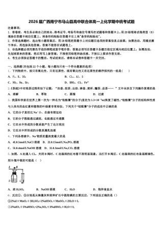 2026届广西南宁市马山县高中联合体高一上化学期中统考试题含解析