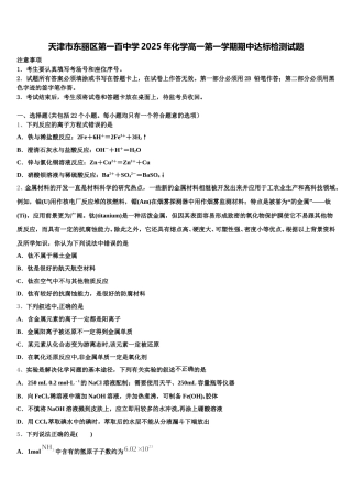 天津市东丽区第一百中学2025年化学高一第一学期期中达标检测试题含解析
