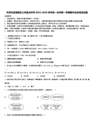 天津市滨海新区七所重点中学2025-2026学年高一化学第一学期期中达标测试试题含解析