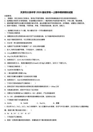 天津市大良中学 2026届化学高一上期中调研模拟试题含解析