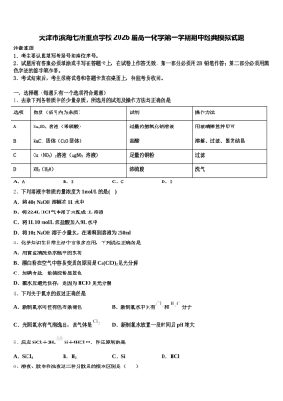 天津市滨海七所重点学校2026届高一化学第一学期期中经典模拟试题含解析