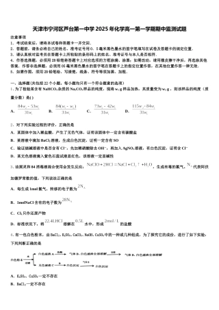 天津市宁河区芦台第一中学2025年化学高一第一学期期中监测试题含解析