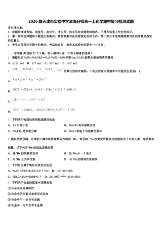 2026届天津市实验中学滨海分校高一上化学期中复习检测试题含解析