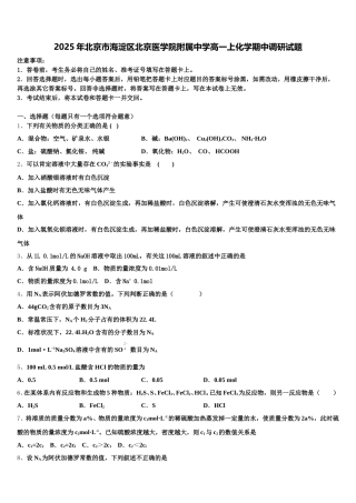 2025年北京市海淀区北京医学院附属中学高一上化学期中调研试题含解析