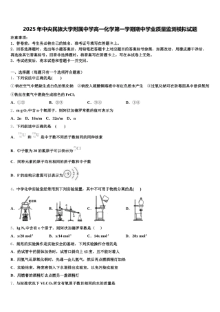 2025年中央民族大学附属中学高一化学第一学期期中学业质量监测模拟试题含解析