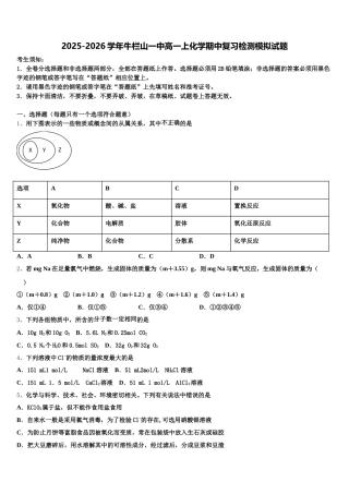 2025-2026学年牛栏山一中高一上化学期中复习检测模拟试题含解析