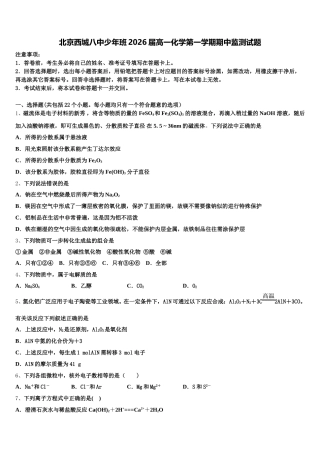 北京西城八中少年班2026届高一化学第一学期期中监测试题含解析