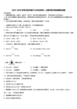 2025-2026学年北京市第十九中化学高一上期中复习检测模拟试题含解析
