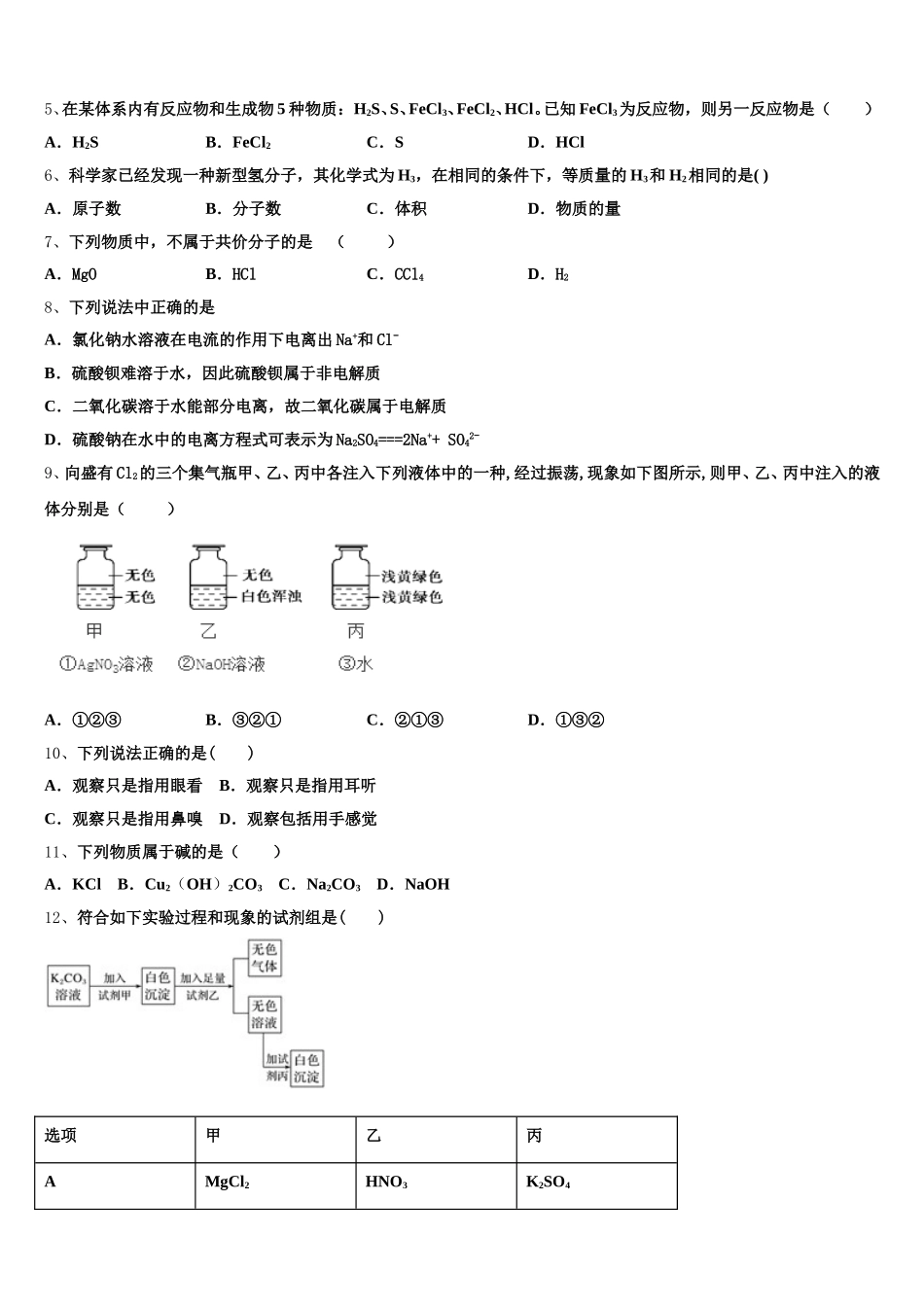 2026届北京市第156中学化学高一上期中检测模拟试题含解析_第2页