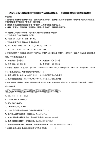2025-2026学年北京市朝阳区力迈国际学校高一上化学期中综合测试模拟试题含解析