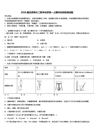 2026届北京师大二附中化学高一上期中达标检测试题含解析