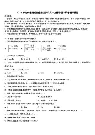 2025年北京市西城区外国语学校高一上化学期中统考模拟试题含解析