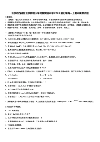 北京市西城区北京师范大学附属实验中学2026届化学高一上期中统考试题含解析