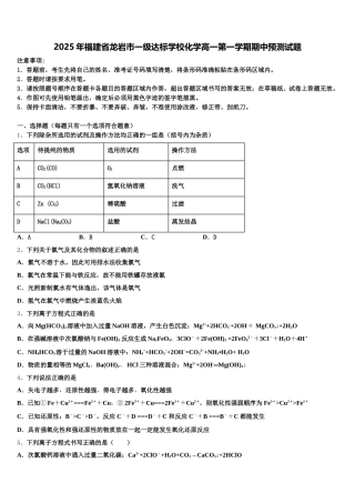 2025年福建省龙岩市一级达标学校化学高一第一学期期中预测试题含解析