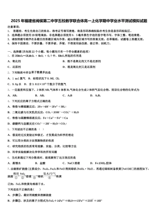 2025年福建省闽侯第二中学五校教学联合体高一上化学期中学业水平测试模拟试题含解析