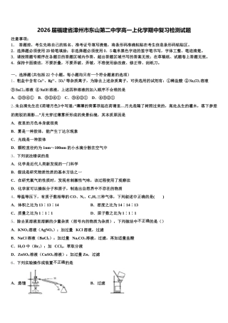 2026届福建省漳州市东山第二中学高一上化学期中复习检测试题含解析