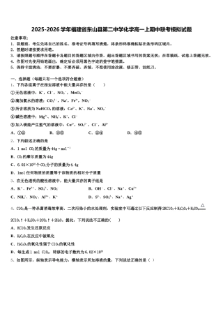 2025-2026学年福建省东山县第二中学化学高一上期中联考模拟试题含解析
