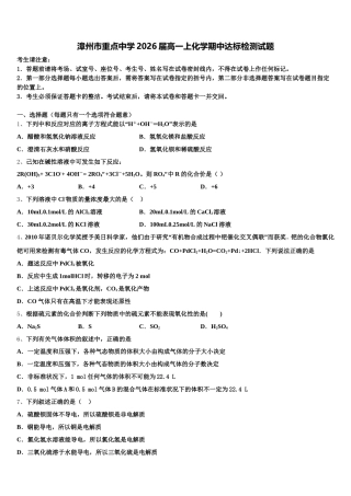 漳州市重点中学2026届高一上化学期中达标检测试题含解析