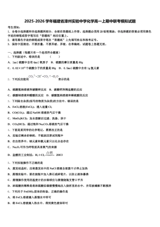 2025-2026学年福建省漳州实验中学化学高一上期中联考模拟试题含解析