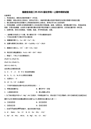 福建省龙岩二中2026届化学高一上期中调研试题含解析