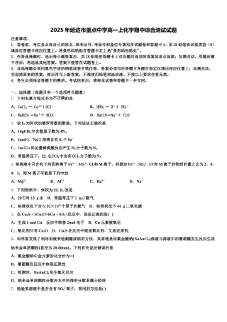 2025年延边市重点中学高一上化学期中综合测试试题含解析