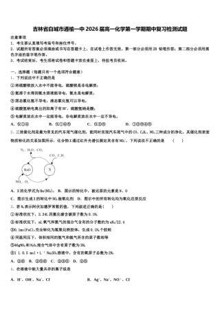 吉林省白城市通榆一中2026届高一化学第一学期期中复习检测试题含解析
